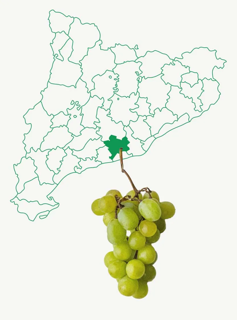 mapa de comarques catalanes destacant d'Alt Penedès