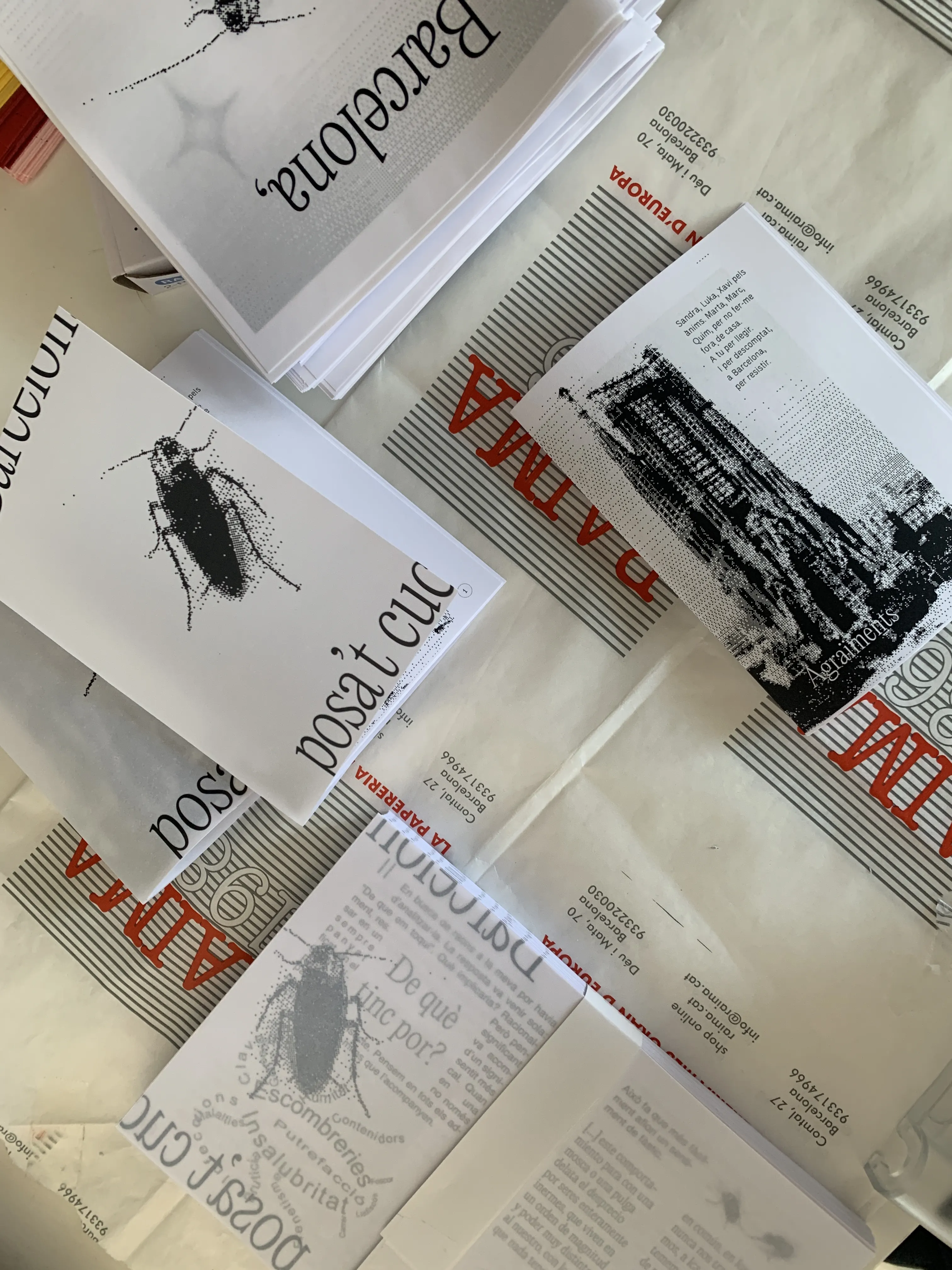 Muntatge editorial del zine