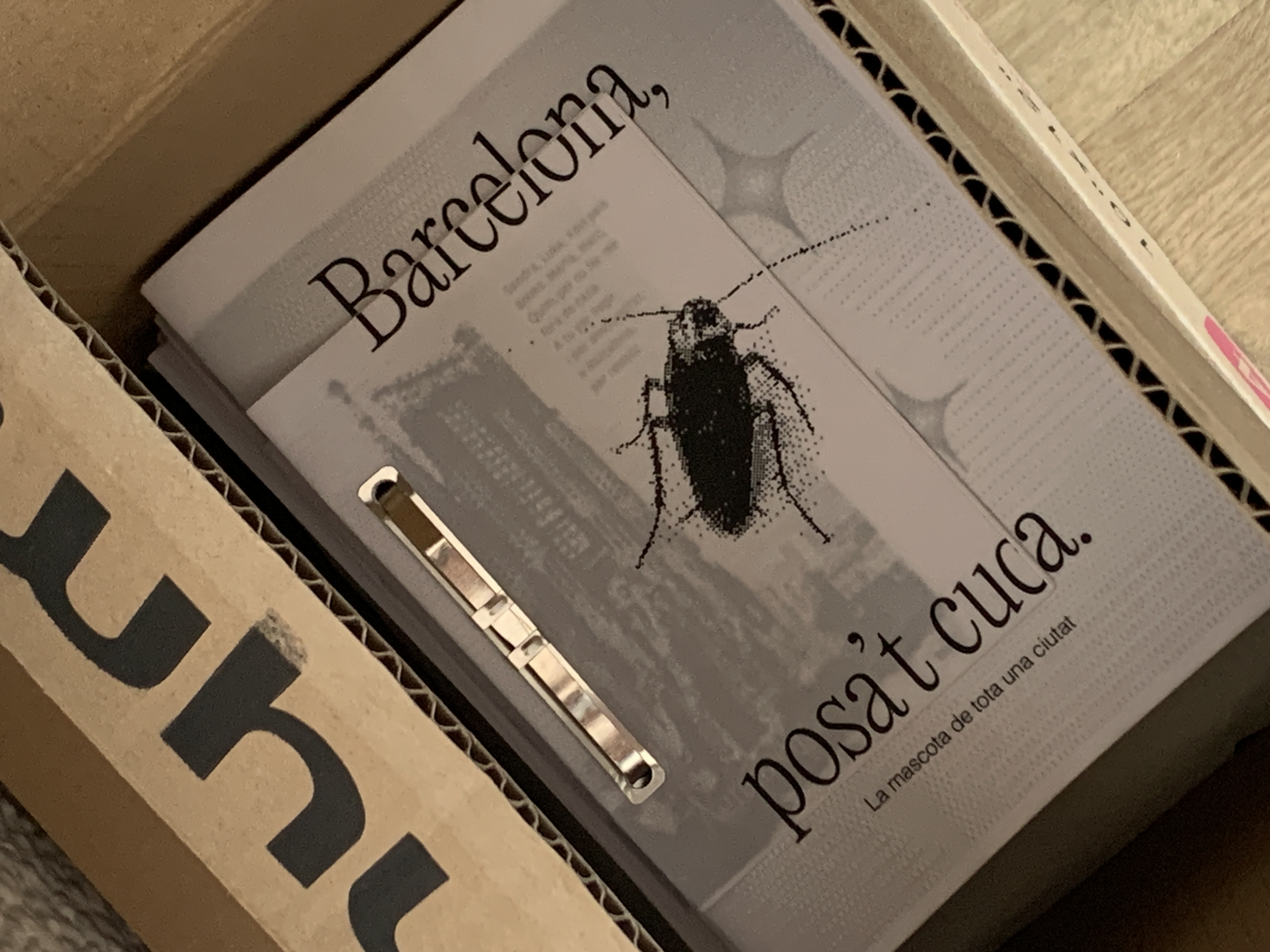 Zines dins d'una caixa