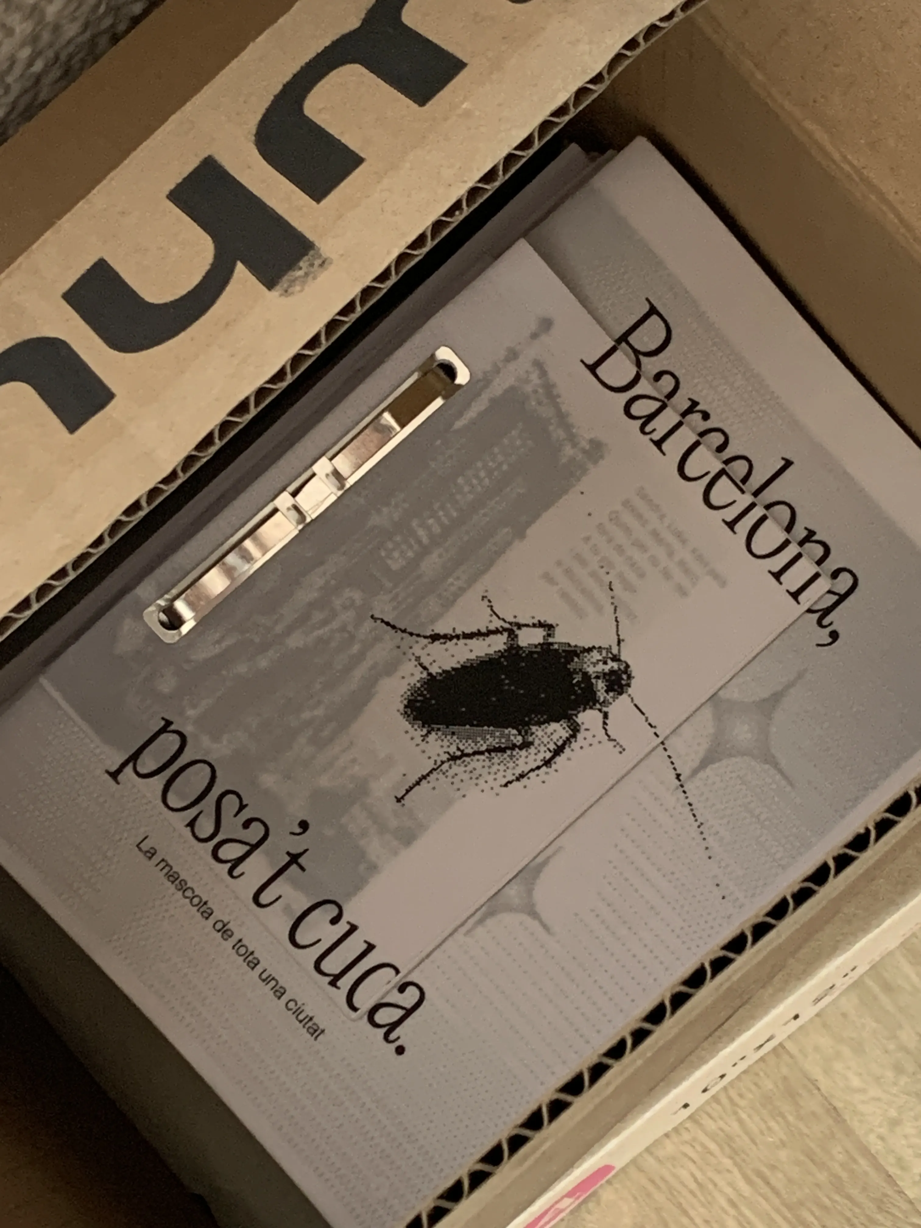 Zines dins d'una caixa